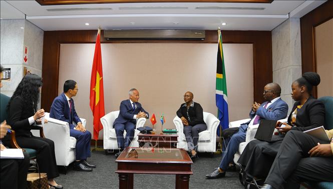 Trading in Vietnam: The African Entrepreneur’s Guide - Vico Trading - African entrepreneurs