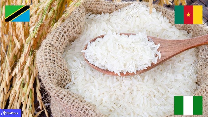 Top 10 Rice Varieties in Africa (2025)