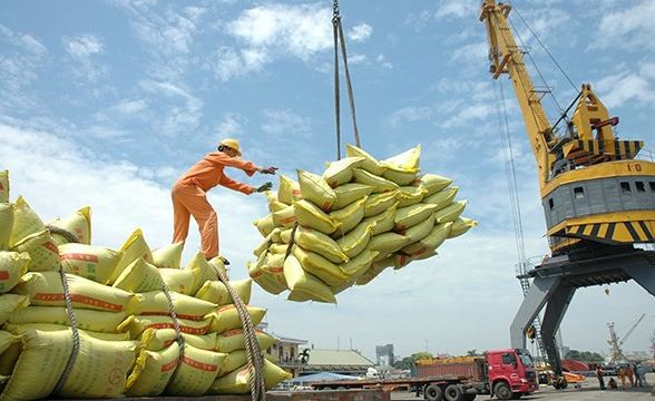 how to choose rice supplier from Vietnam to Africa