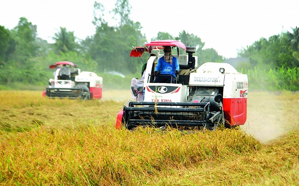 Vietnam Industrial Machinery