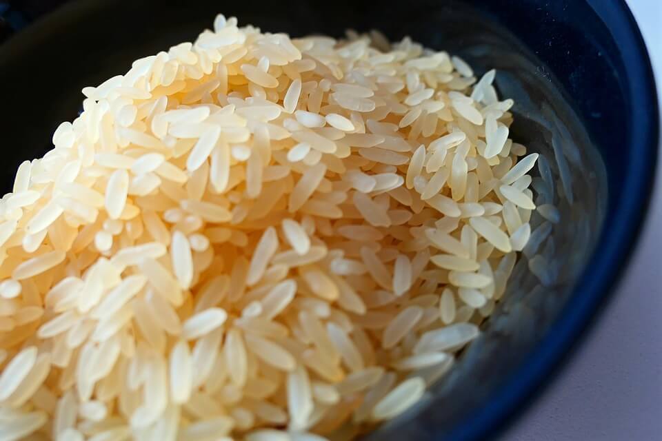 rice-vico-trading-export-companies