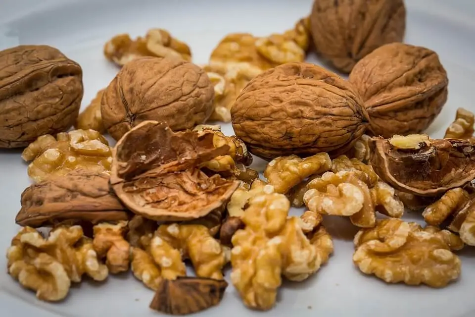 walnut-export-Vico-trading