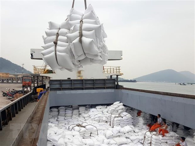 Vietnam Rice Export to Africa