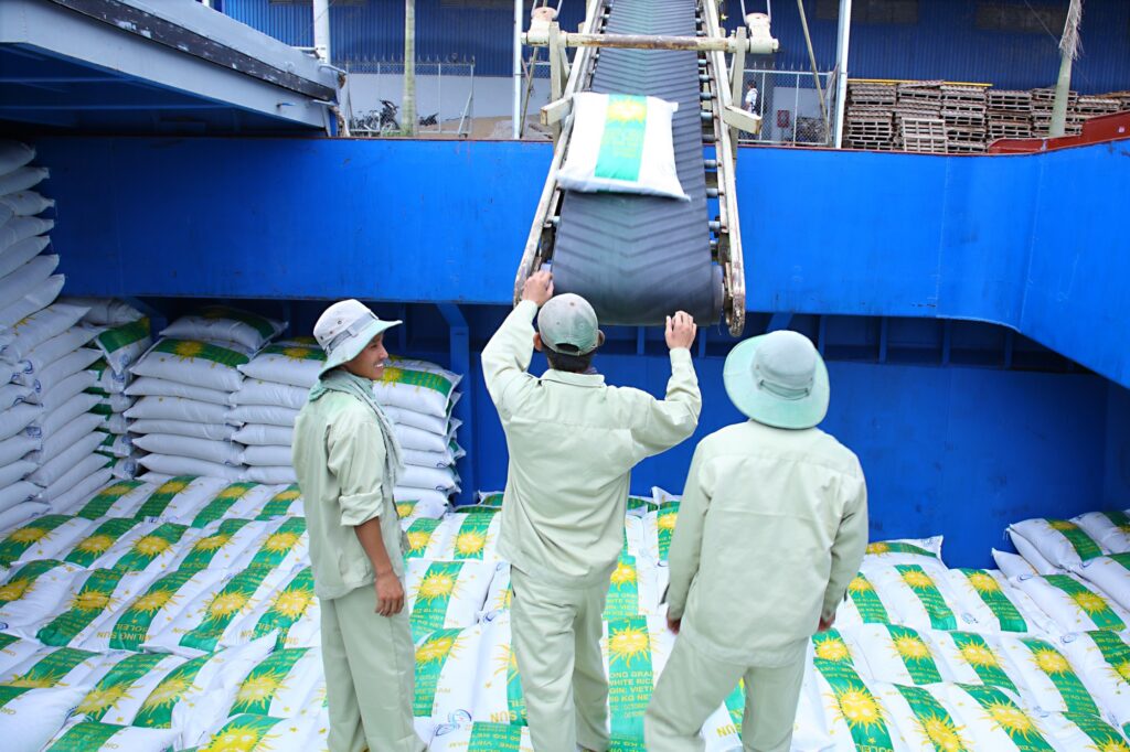 how to choose rice supplier from Vietnam to Africa